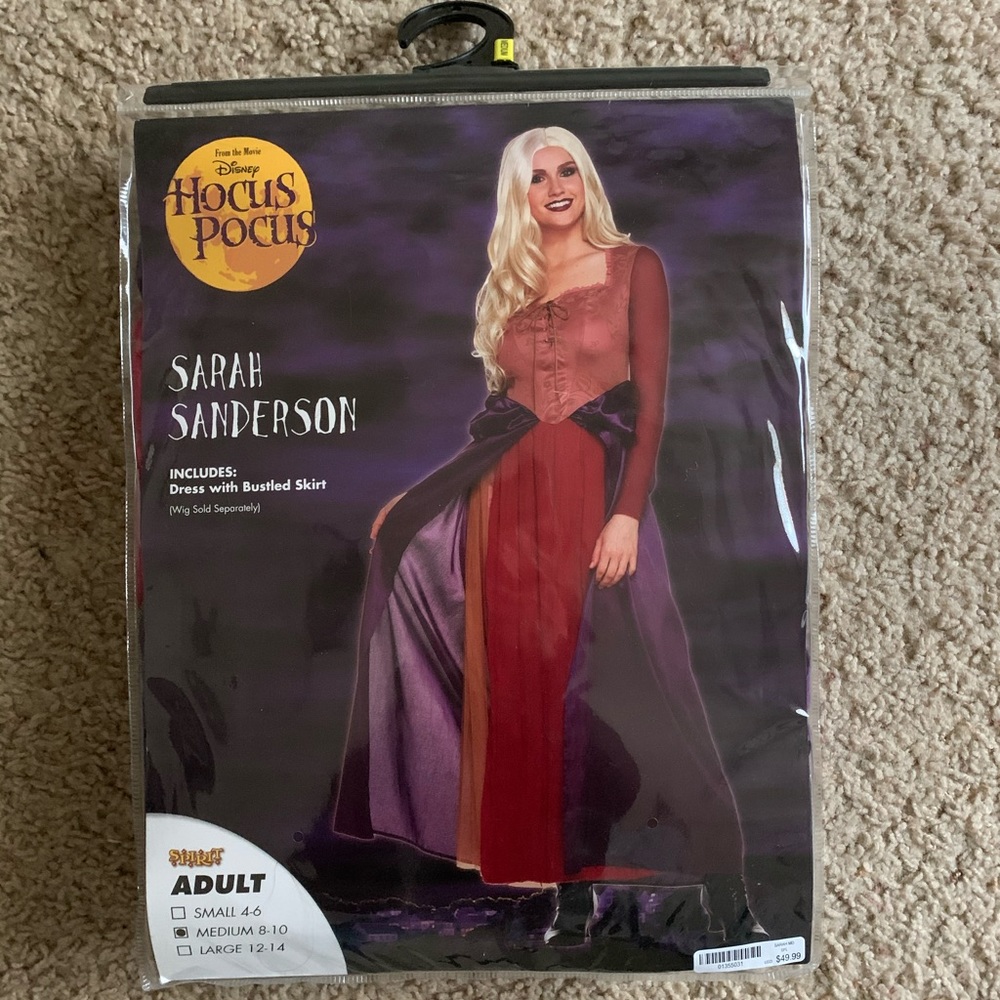 Sarah Sanderson Costume